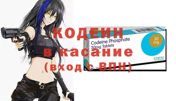 прущие грибы Карталы