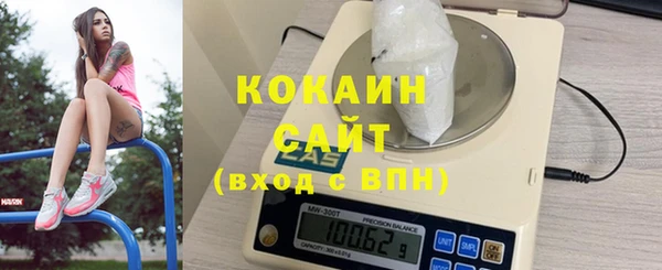 мдпв Карпинск