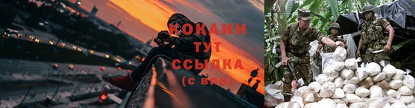 прущие грибы Карталы