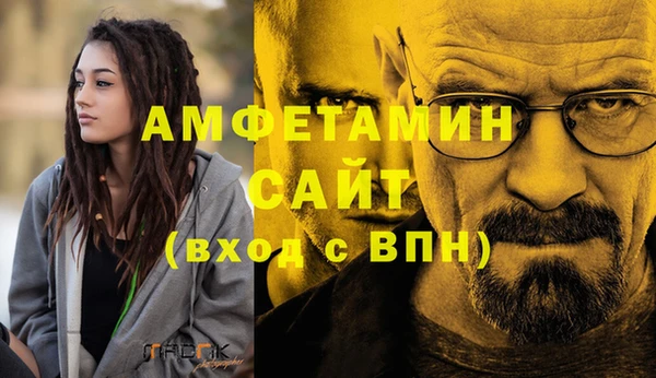 прущие грибы Карталы