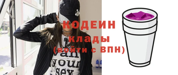 мдпв Карпинск