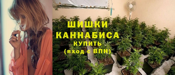 мдпв Карпинск