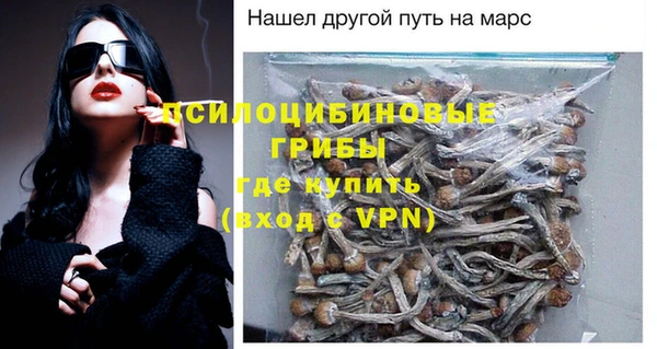 мдпв Карпинск