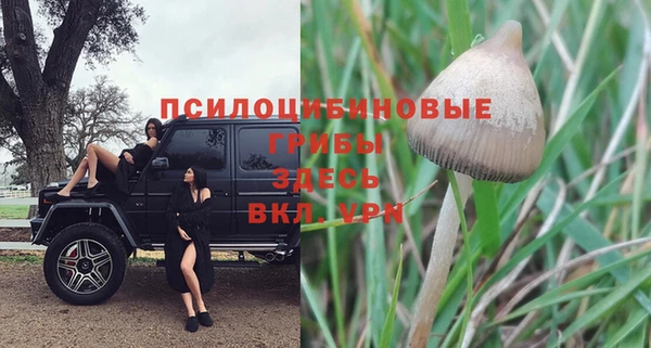Альфа ПВП Касимов