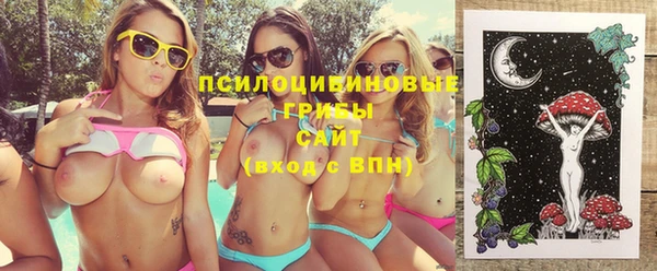 Альфа ПВП Касимов