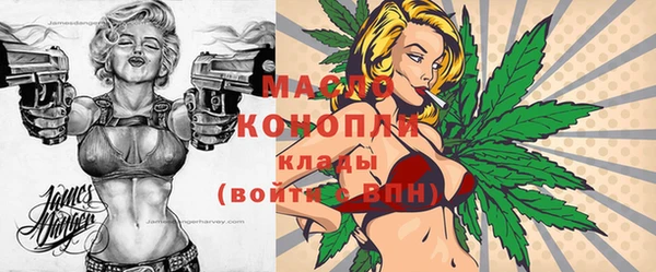 мдпв Карпинск