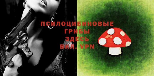 прущие грибы Карталы