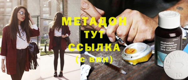 прущие грибы Карталы