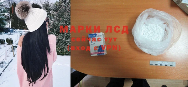 прущие грибы Карталы
