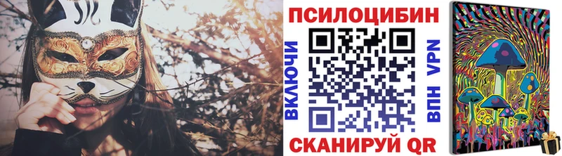 Купить закладки  Сосновка  Галлюциногенные грибы Psilocybe 